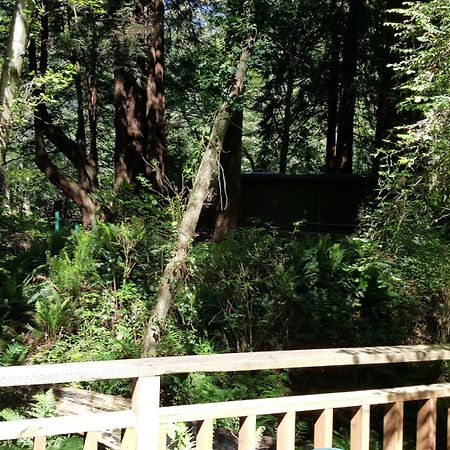 Emerald Forest Cabins Trinidad Chambre photo