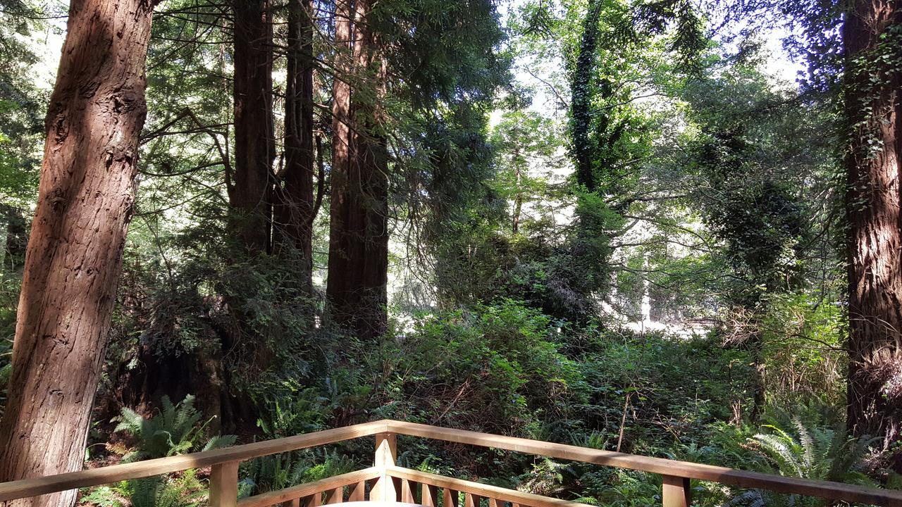Emerald Forest Cabins Trinidad Extérieur photo