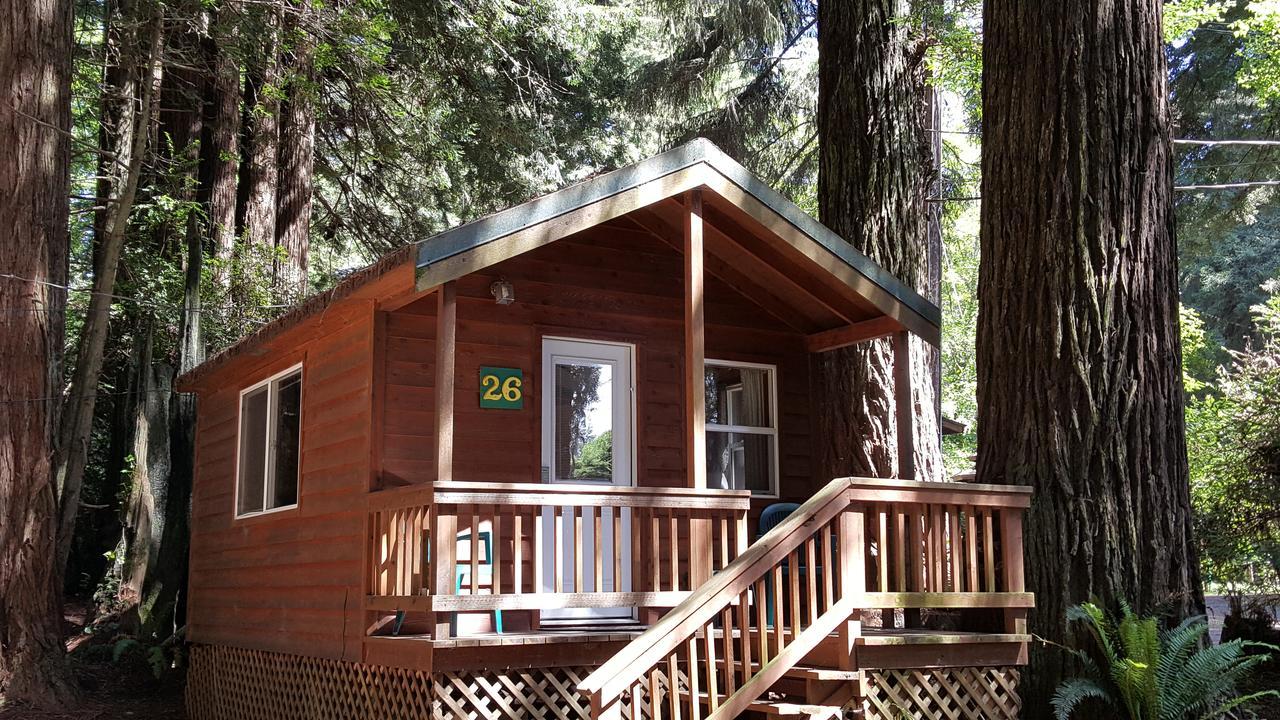 Emerald Forest Cabins Trinidad Extérieur photo