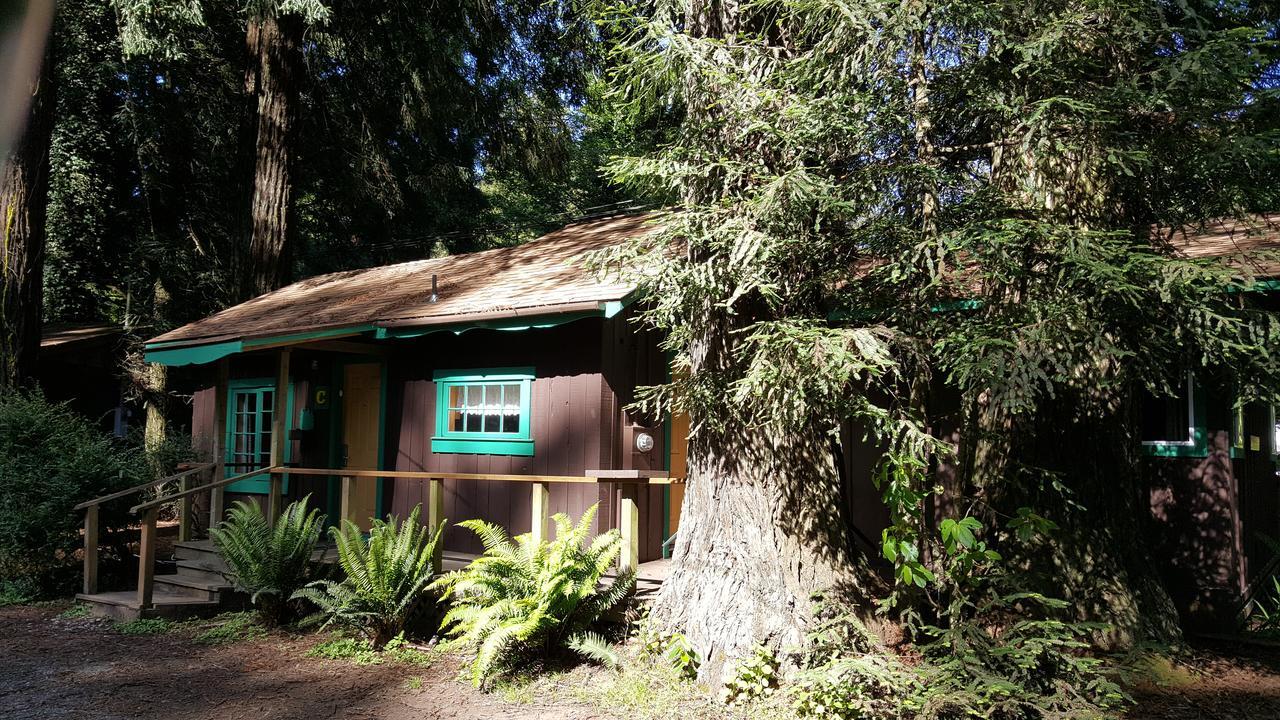 Emerald Forest Cabins Trinidad Extérieur photo