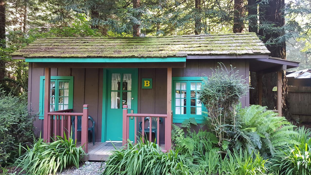 Emerald Forest Cabins Trinidad Extérieur photo