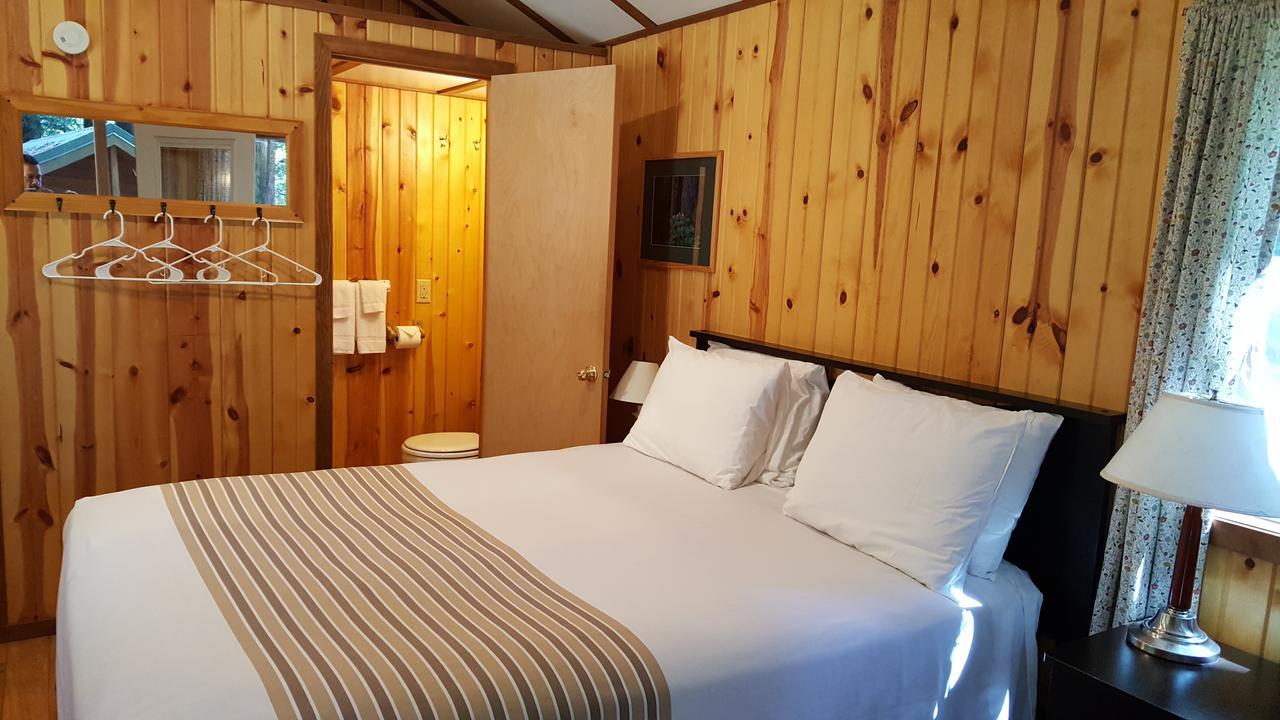 Emerald Forest Cabins Trinidad Extérieur photo
