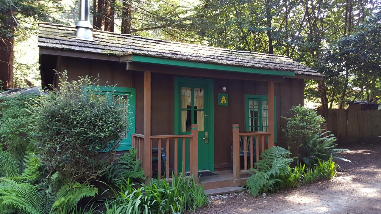 Emerald Forest Cabins Trinidad Extérieur photo