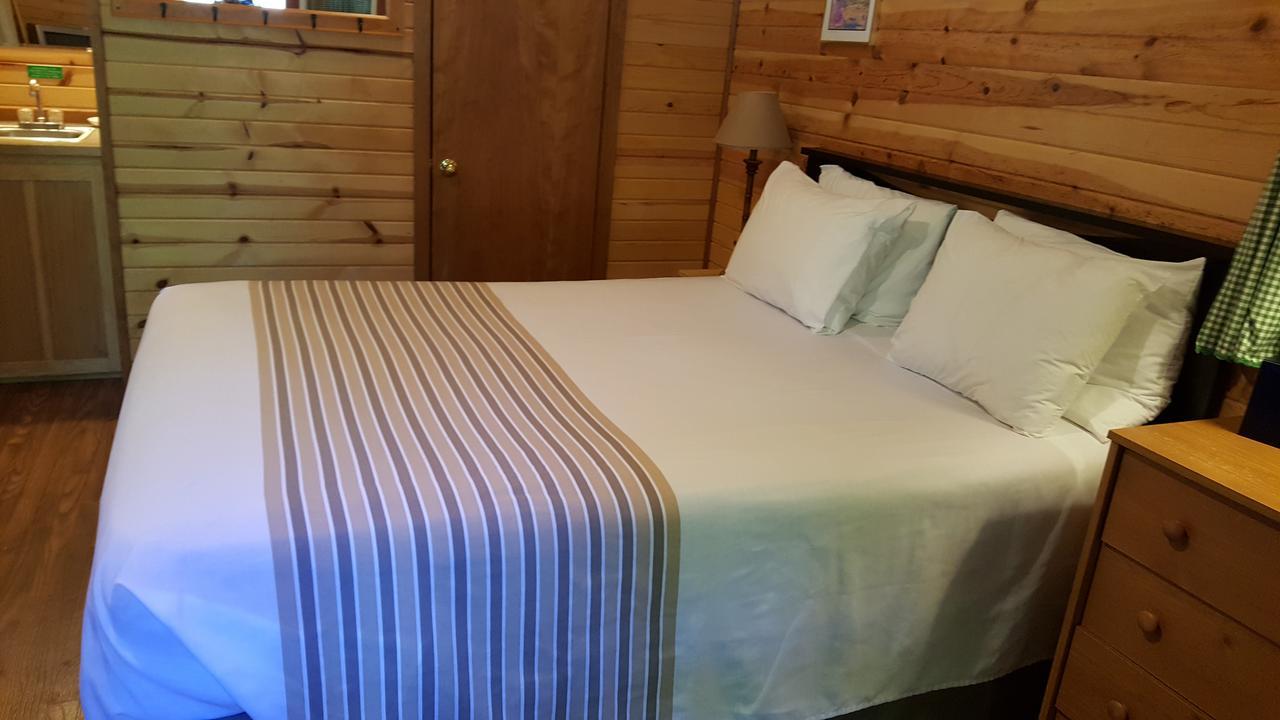 Emerald Forest Cabins Trinidad Extérieur photo