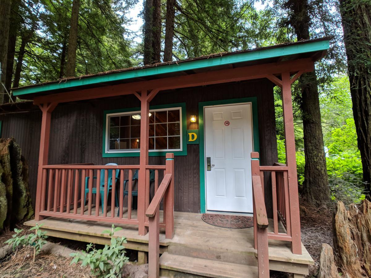 Emerald Forest Cabins Trinidad Extérieur photo