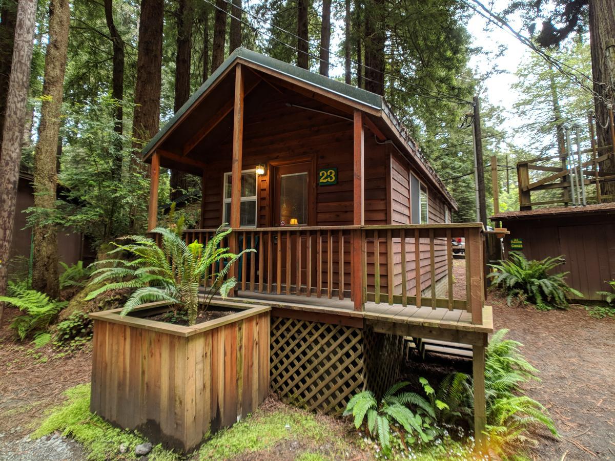 Emerald Forest Cabins Trinidad Extérieur photo